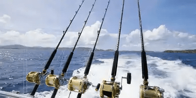 A group of fishing rods on the side of a boat.