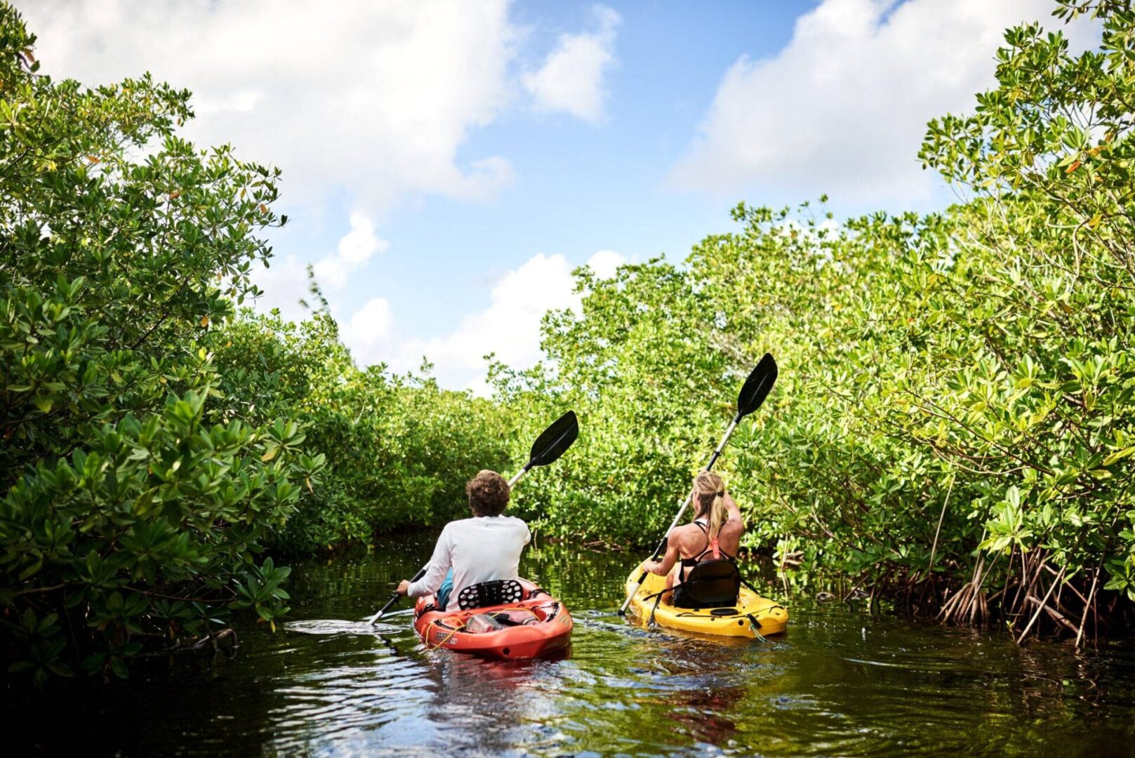 Two people are kayaking in a river surrounded by trees.